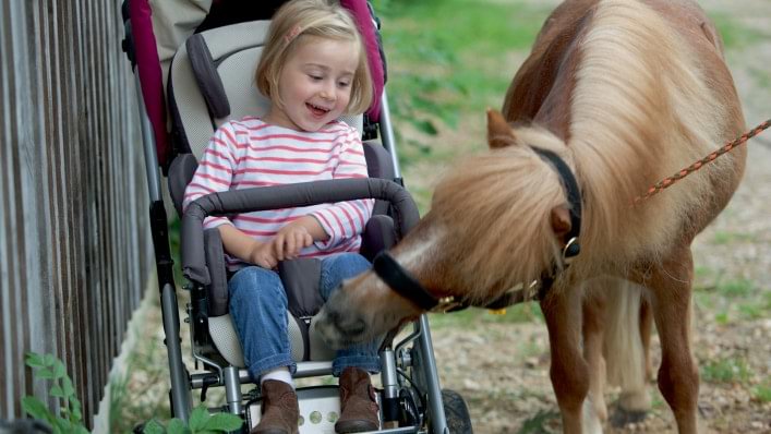 Une petite fille en poussette s'amuse avec un poney